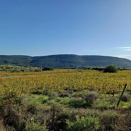Maisonnette Entre Et Apartman Prades-sur-Vernazobre